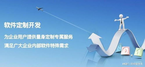 城市路基橋梁健康在線安全監(jiān)測系統(tǒng) 一體化軟件解決方案與外包服務(wù)